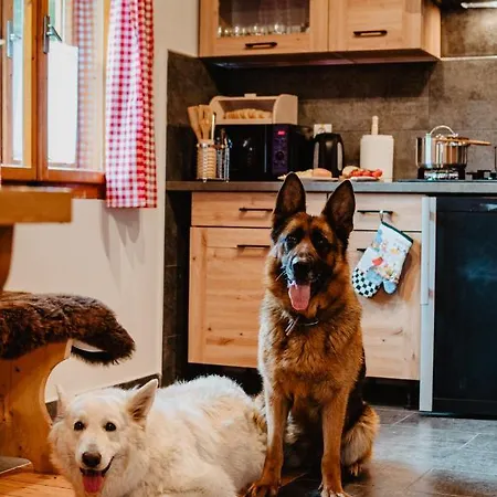 Lieskovec * Tátracsorba